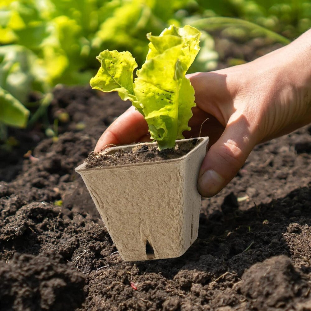 Hahood Szögletes Tőzegcserép Szett, Növényindító Palántaneveléshez 60db 5,8 cm - BShopy