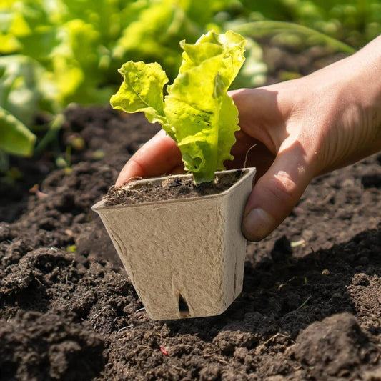 Hahood Szögletes Tőzegcserép Szett, Növényindító Palántaneveléshez 60db 5,8 cm - BShopy
