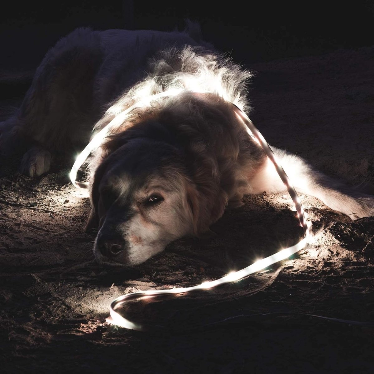 Luminoodle Original Univerzális LED Szalag – Vízálló Kemping Világítás és Hordozható Lámpás - BShopy